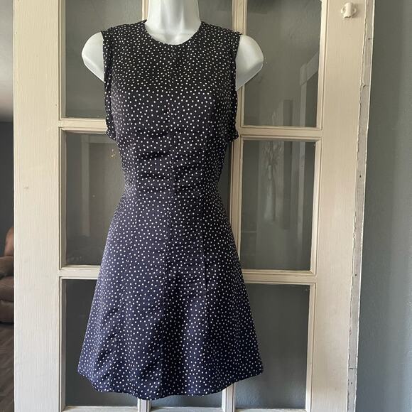 Alexis Dutsa Polkadot Dress - Picture 4 of 11